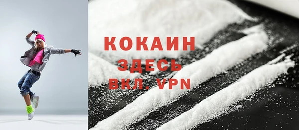 индика Армянск