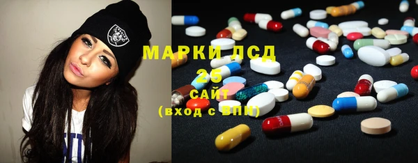 индика Армянск