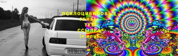 mdpv Володарск