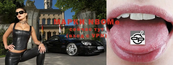 стаф Волосово