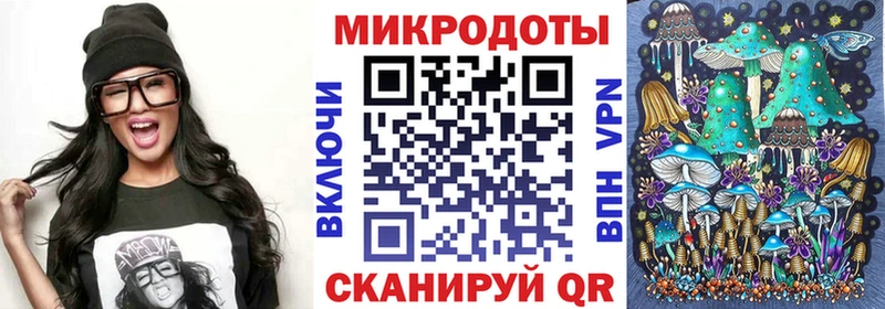 Купить  Новосокольники  Псилоцибиновые грибы Psilocybine cubensis 